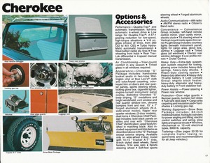 1977 Jeep Full Line-17.jpg